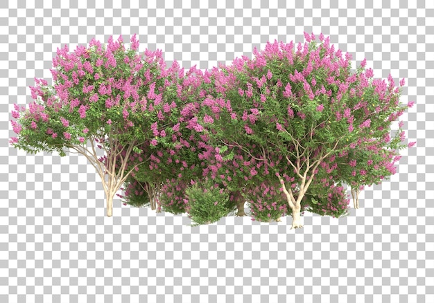 Alberi con fiori su sfondo trasparente 3d rendering illustrazione