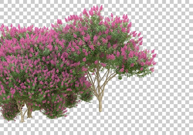 Alberi con fiori su sfondo trasparente 3d rendering illustrazione