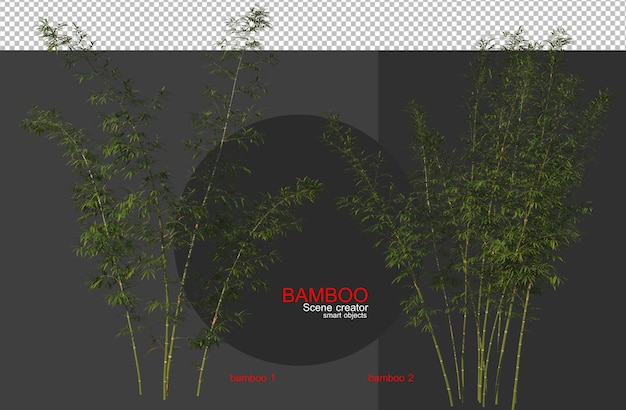 Alberi di bambù di varie dimensioni
