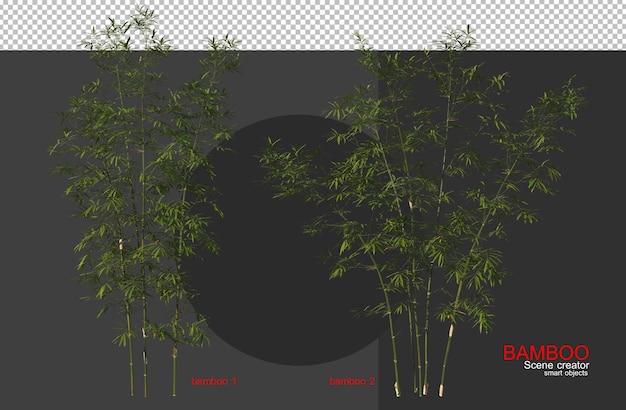 Alberi di bambù di varie dimensioni