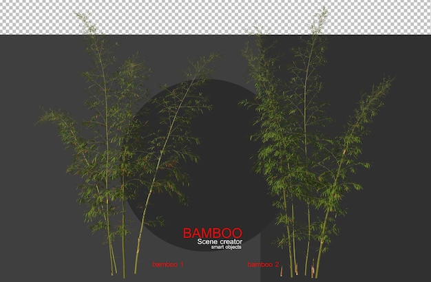 Alberi di bambù di varie dimensioni