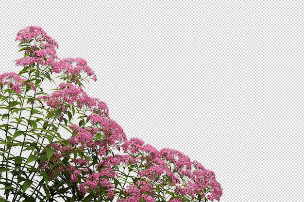 Alberi e fiori tropicali nella rappresentazione 3d isolata