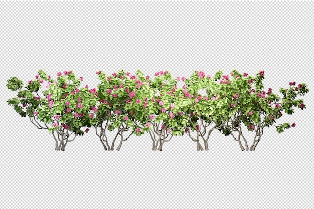 Alberi e fiori tropicali nella rappresentazione 3d isolata