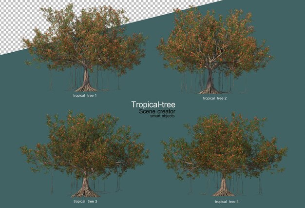 Alberi e fiori tropicali