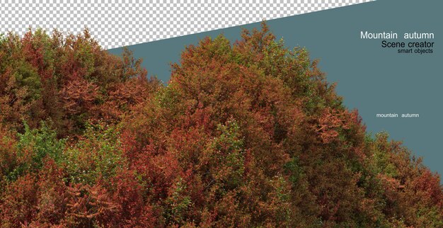 alberi e piante in montagna in autunno
