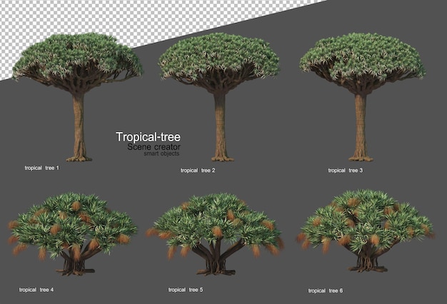 Alberi e piante tropicali nel rendering 3D