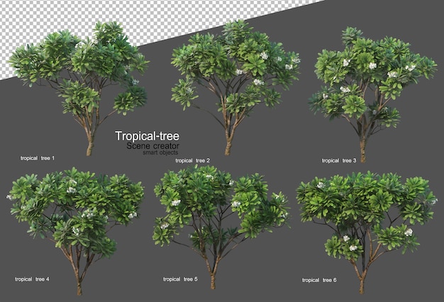 Alberi e piante tropicali nel rendering 3D