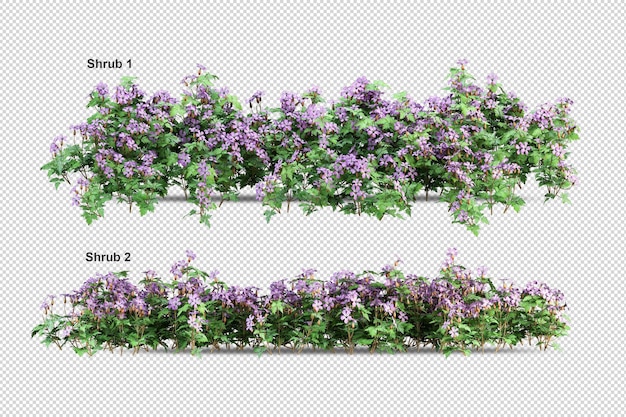 Alberi tropicali e fiori isolati rendering