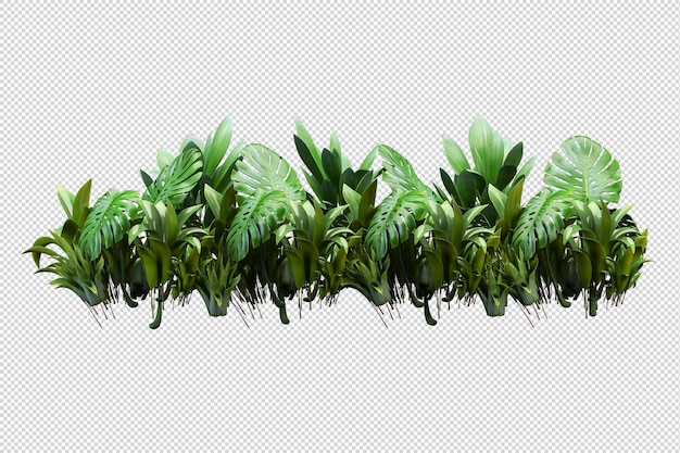 Alberi tropicali e piante di fiori nel rendering 3d isolato