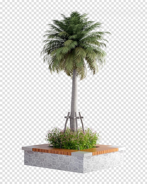 Albero di cocco nel rendering 3d isolato