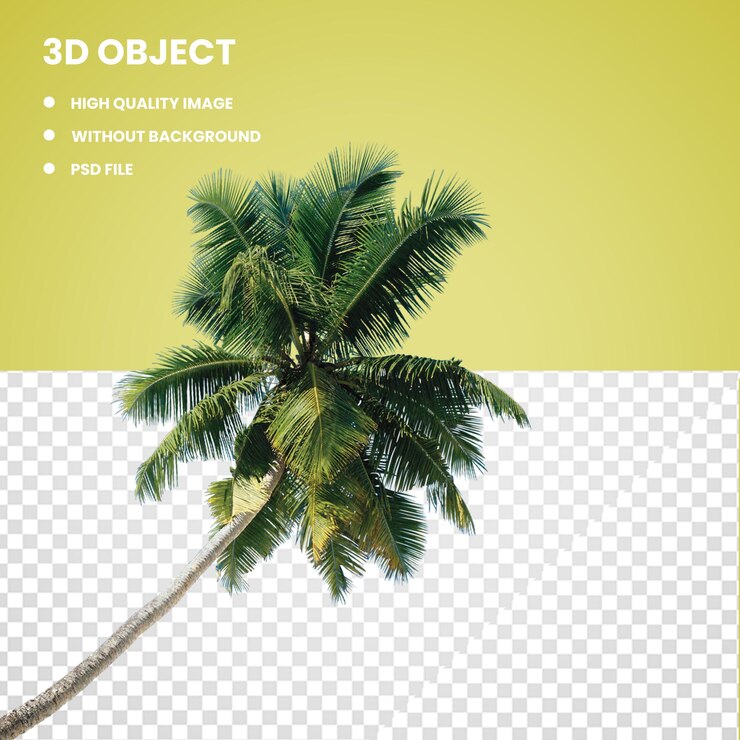 Albero di cocco verde