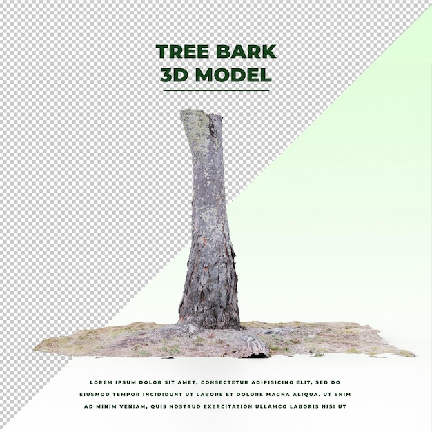 albero di corteccia