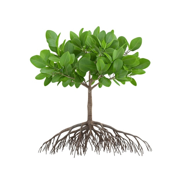 Albero di mangrovia verde con radici visibili Illustrazione 3D realistica della vegetazione costiera