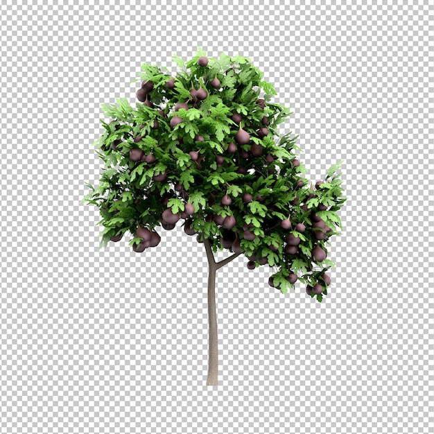 albero di progettazione PSD su sfondo trasparente