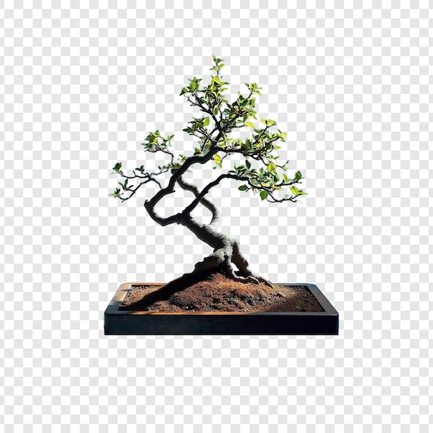 Albero isolato su uno sfondo trasparente generato con l'AI