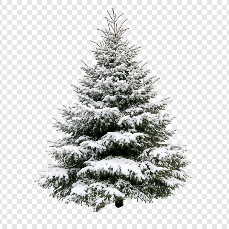 PSD albero sempreverde coperto di neve