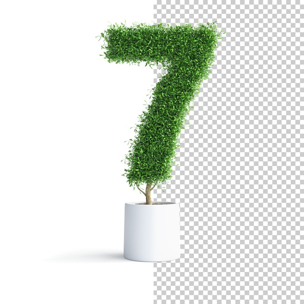 Albero verde numero 7