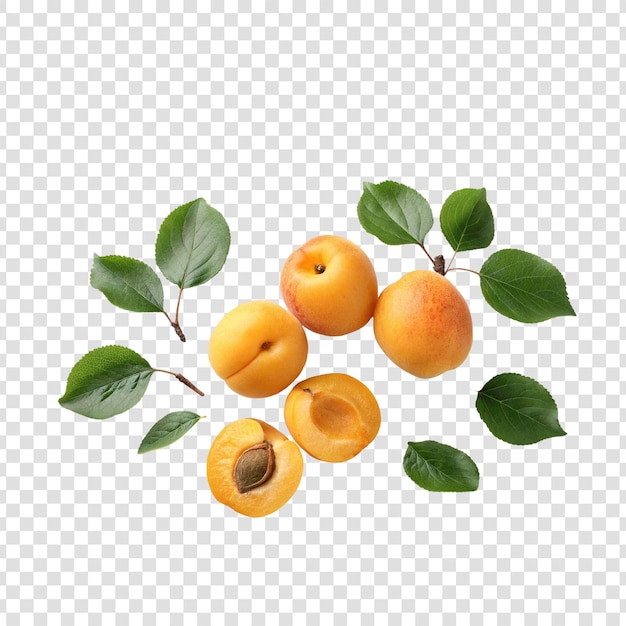 Alcaçuz doce com folhas sobre fundo branco