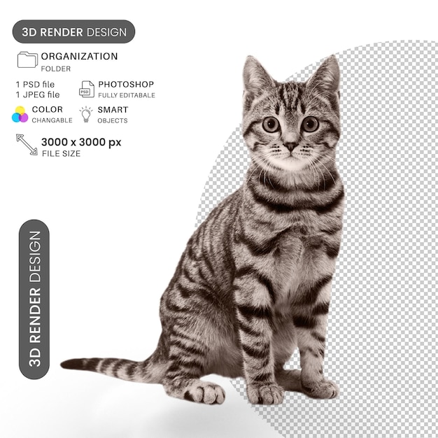 Alerta PSD de gatinho