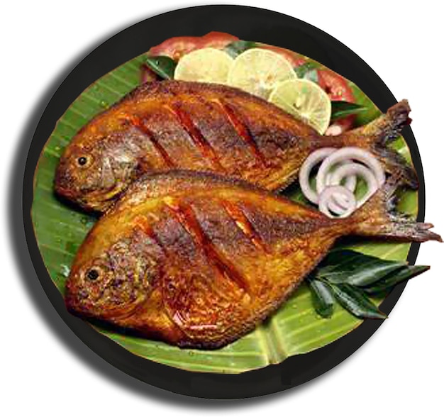 PSD alevins de poisson du kerala mojarra frita alevins de poisson seer mojarra