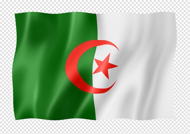 Algerische Flagge isoliert auf weiss