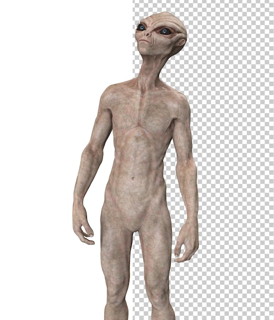 PSD alien cinza na renderização 3d de fundo transparente