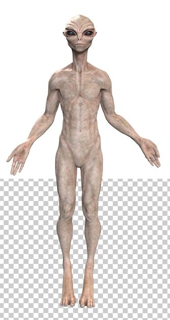 PSD alien gris sur fond transparent rendu 3d