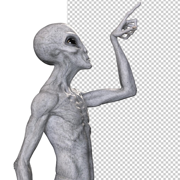 Alien gris sobre fondo transparente 3d render