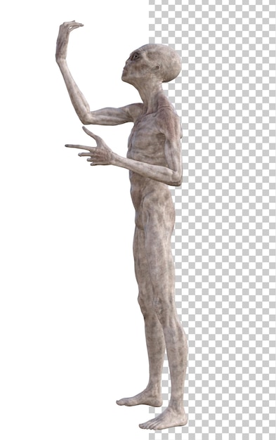 Alien gris sobre fondo transparente 3d render