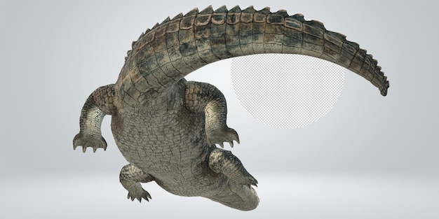 alligator isolated on a transparent background