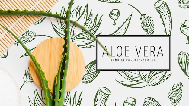 PSD aloe vera fond dessiné à la main