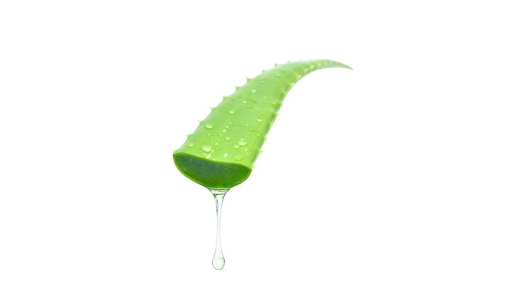 PSD aloe vera en un fondo transparente aislado