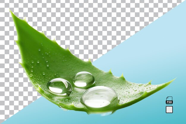 Aloe vera isolado em fundo branco ou transparente imagem gerada por ia