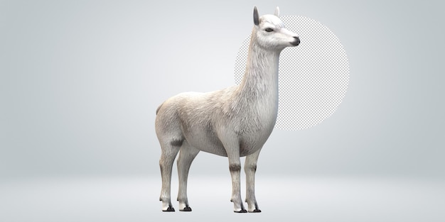 Alpaca isolada em um fundo transparente