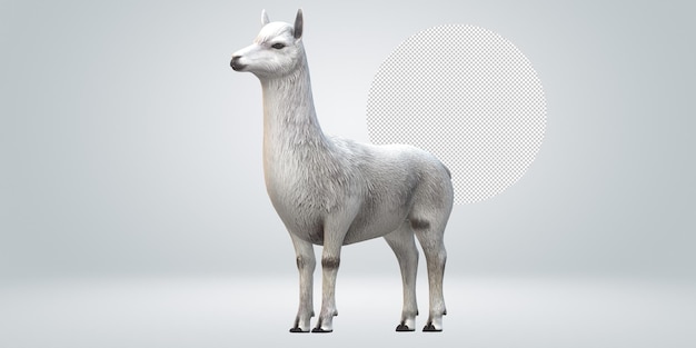 Alpaca isolada em um fundo transparente