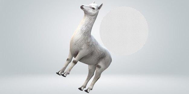 Alpaca isolada em um fundo transparente