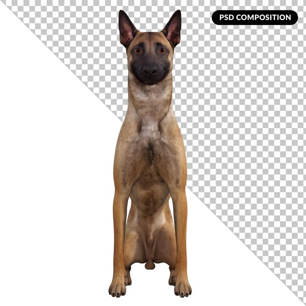 PSD ami du chien isolé 3d