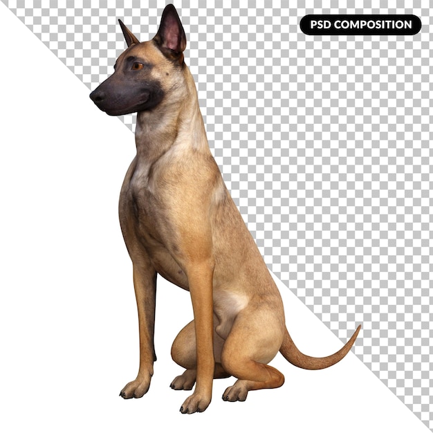 PSD ami du chien isolé 3d