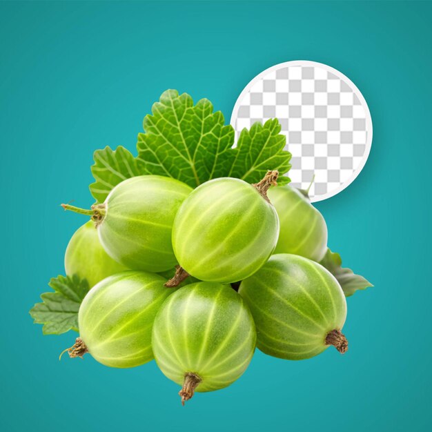 PSD amla est une herbe png.