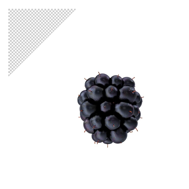 PSD amora png