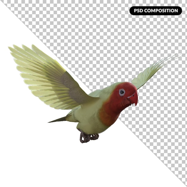 Amore uccello animale isolato rendering 3d