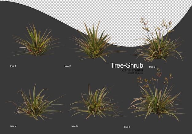 Ampia varietà di rendering di alberi e arbusti