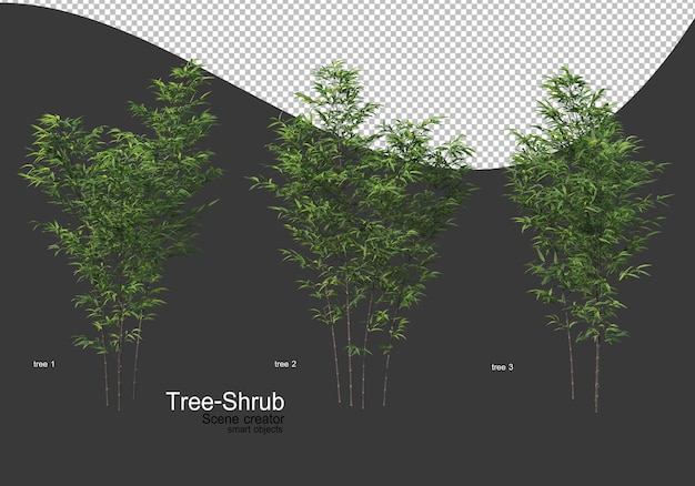 Ampia varietà di rendering di alberi e arbusti