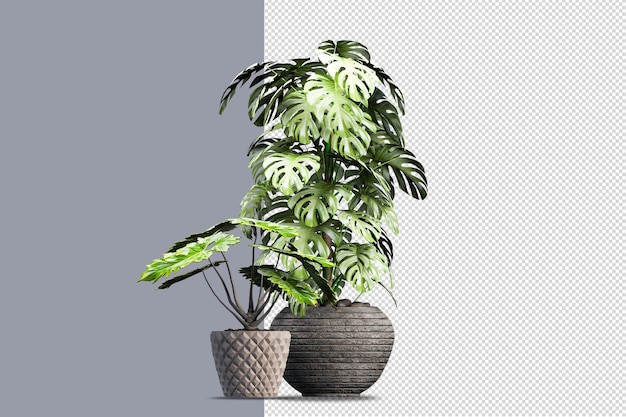 Ampia varietà di rendering di alberi e arbusti
