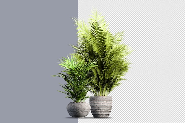 Ampia varietà di rendering di alberi e arbusti