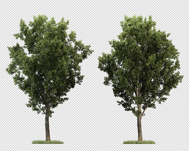 Ampia varietà di rendering di alberi e arbusti