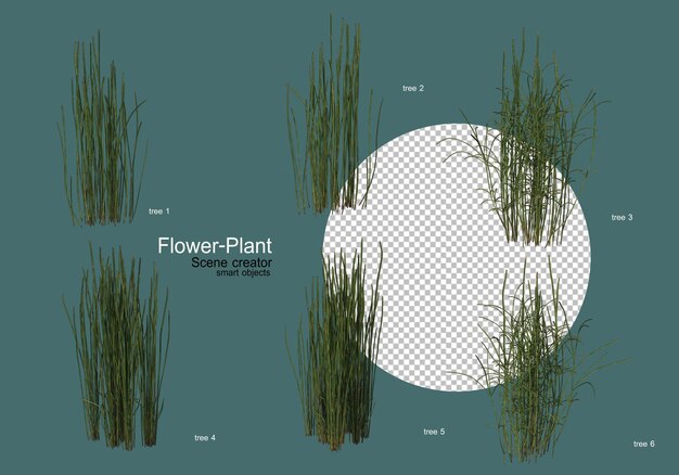 Una amplia variedad de flores y plantas de diversas formas.