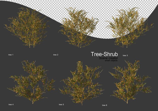 Amplia variedad de renderizado de árboles y arbustos.