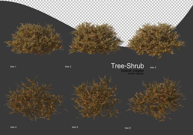 PSD amplia variedad de renderizado de árboles y arbustos.