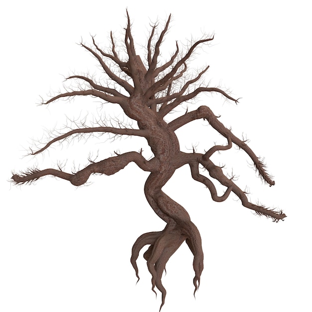 An isolated leafless tree with gnarled branches and a twisted trunk